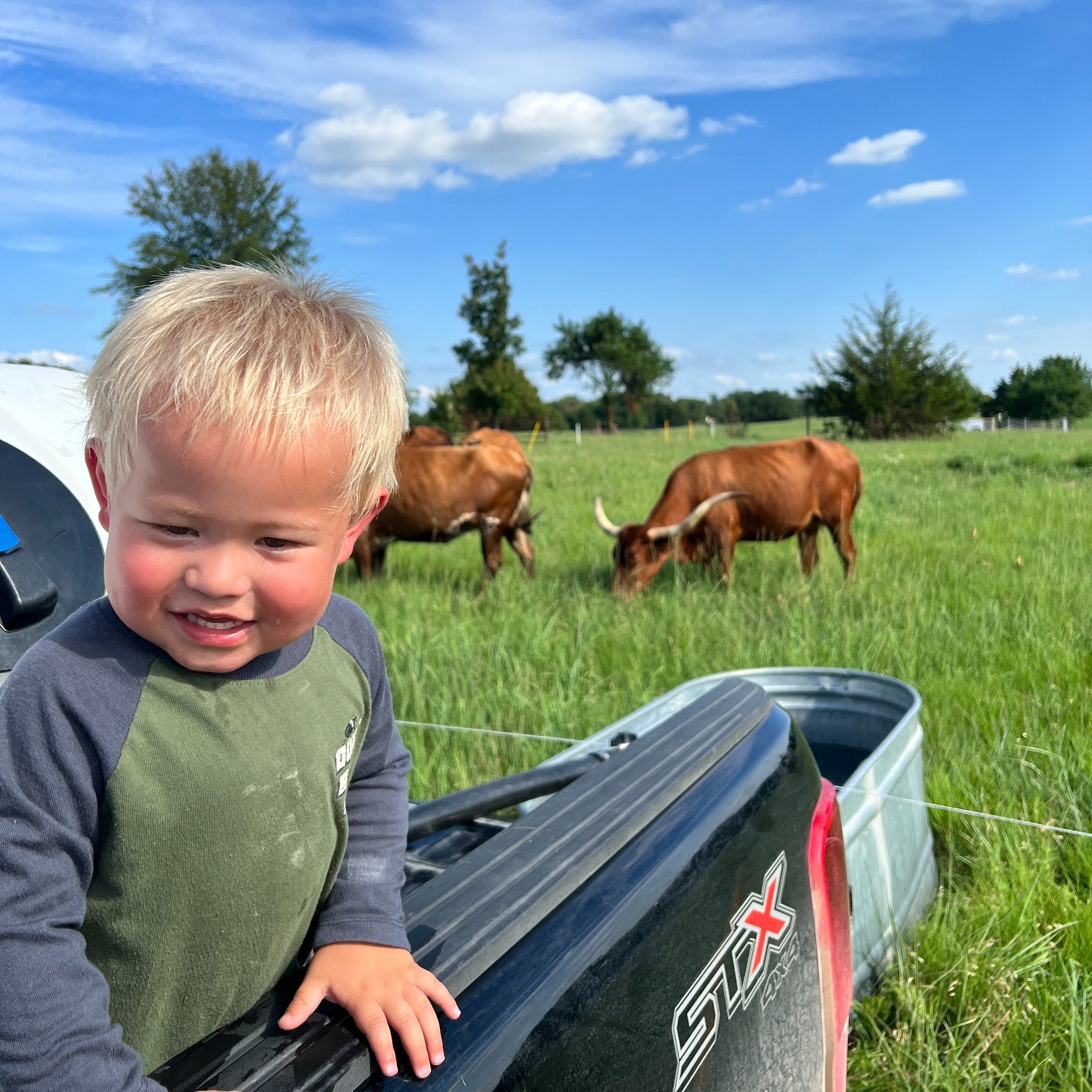 Smiling young child with blonde hair leaning on a truck in a grassy field, with brown cattle grazing in the background under a blue sky.